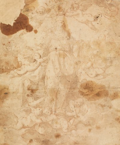 Study for The Ascension of the Virgin by Giuseppe Marullo